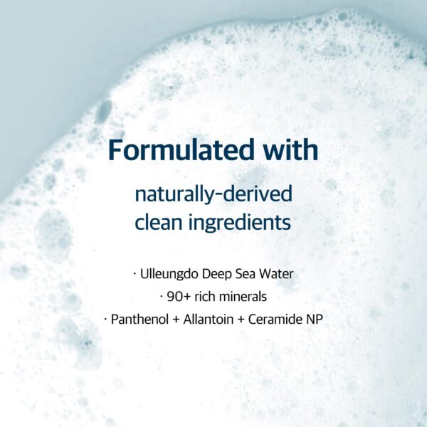 Round Lab 1025 Dokdo Cleanser