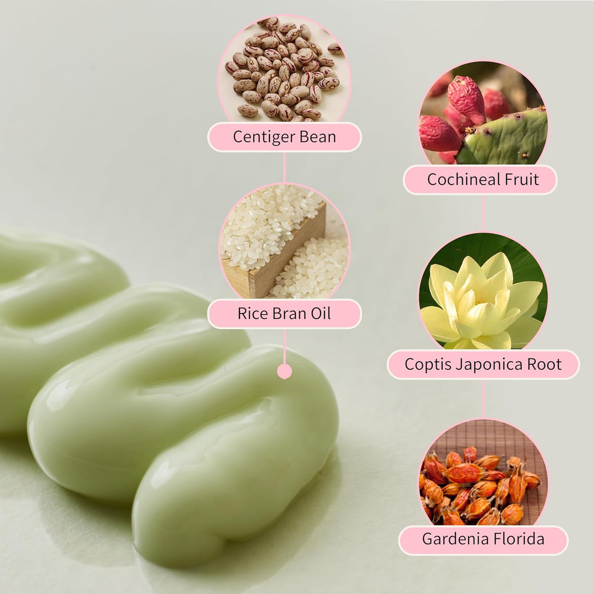 Beauty of Joseon Jelloskin Massage Cream for Face & Body