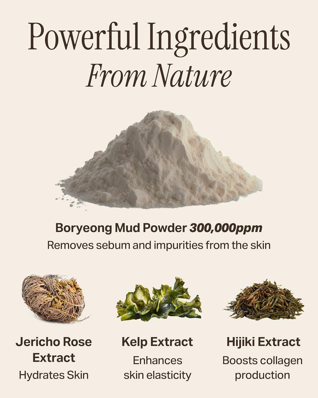 [BRMUD] Recovery Mud Mask 110ml